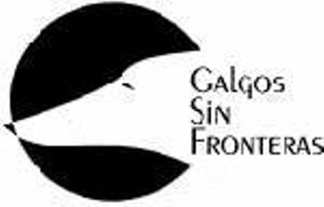 Galgos-Sin-Fronteras---MADRID---LOGO