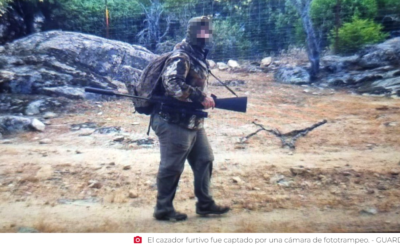 Un detenido y un investigado por caza furtiva tras abatir y decapitar a un jabalí en una finca de un pueblo toledano.