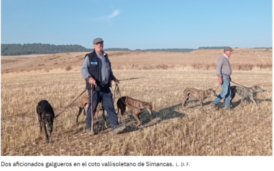 Galgos y liebres, de poder a poder