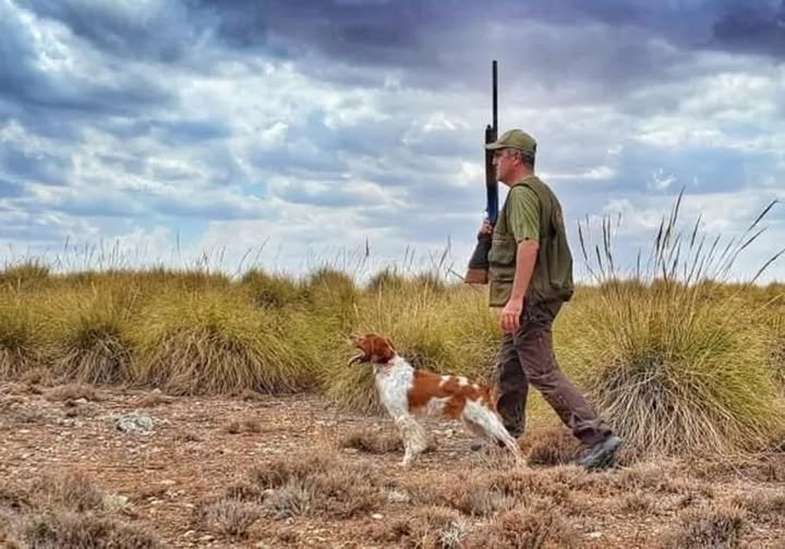 Muere un hombre de 35 años por el disparo accidental de otro cazador en una montería en Almadén