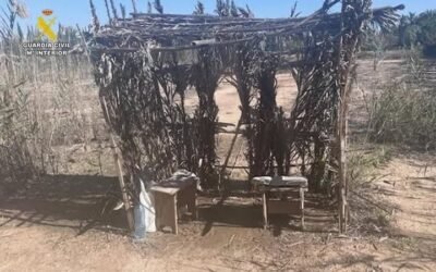 Un aviso anónimo destapa la caza clandestina de aves en una finca de Elche