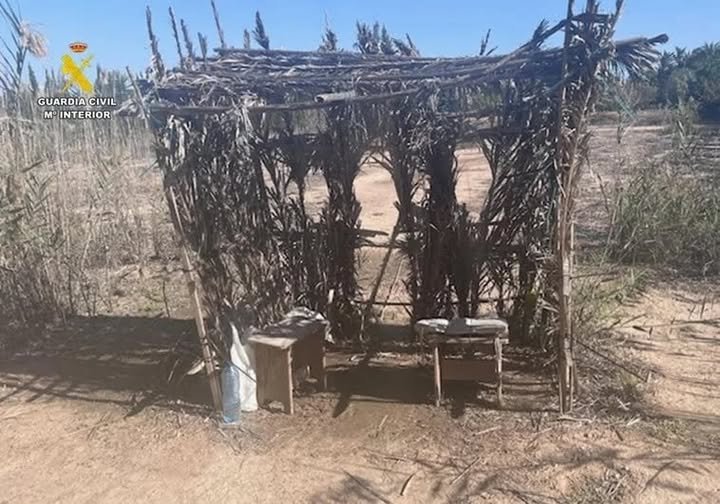 Un aviso anónimo destapa la caza clandestina de aves en una finca de Elche