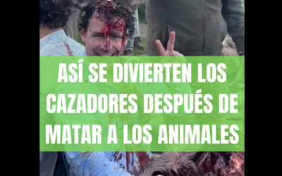 La denuncia de PACMA: comparten un brutal vídeo de varios cazadores untándose vísceras en una montería