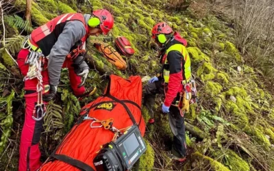 Herido grave un cazador al despeñarse en el bosque de Peloño, en Ponga