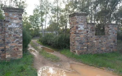 Pillan al presidente de la Sociedad de Cazadores de Santa Olalla practicando la caza furtiva