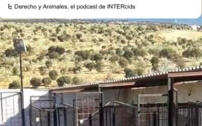 #134 – El caso de los 25 perros de Puebla de la Reina, con Teresa Salado