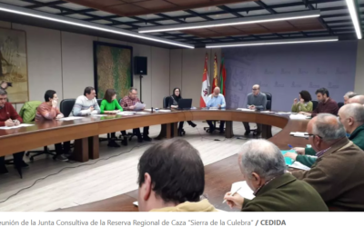 Aprobado el plan de caza para la próxima temporada en la Reserva de la Sierra de la Culebra.