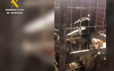 La Guardia Civil rescata cerca de 200 animales maltratados en una operación con 42 investigados en Málaga