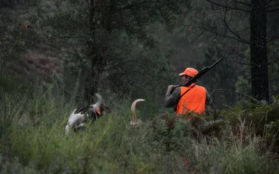 PNV y PSE reforman la ley para fomentar la caza entre las generaciones jóvenes