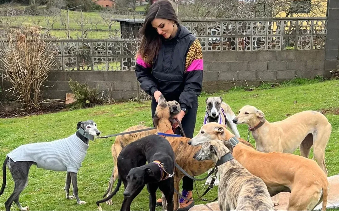 Ana Francisco, la reportera que vive con 10 galgos: «O los acogemos o en febrero la mayoría acaban muertos»