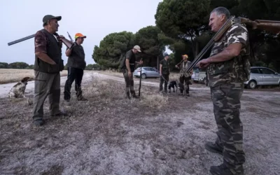 Europa quiere que los cazadores dejen de envenenar la naturaleza con 14.000 toneladas de plomo al año