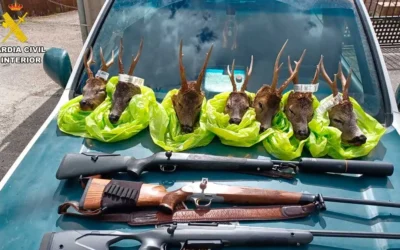 Interceptan a dos posibles cazadores furtivos con siete cabezas de corzo en Ordesa y Monte Perdido