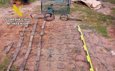 Denunciado un vecino que guardaba más de 60 trampas ilegales para cazar en un pueblo de Burgos