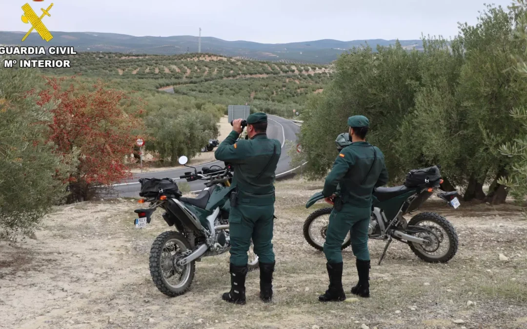 Dos investigados en Córdoba por cazar un jabalí cerca de Trassierra en época de veda.