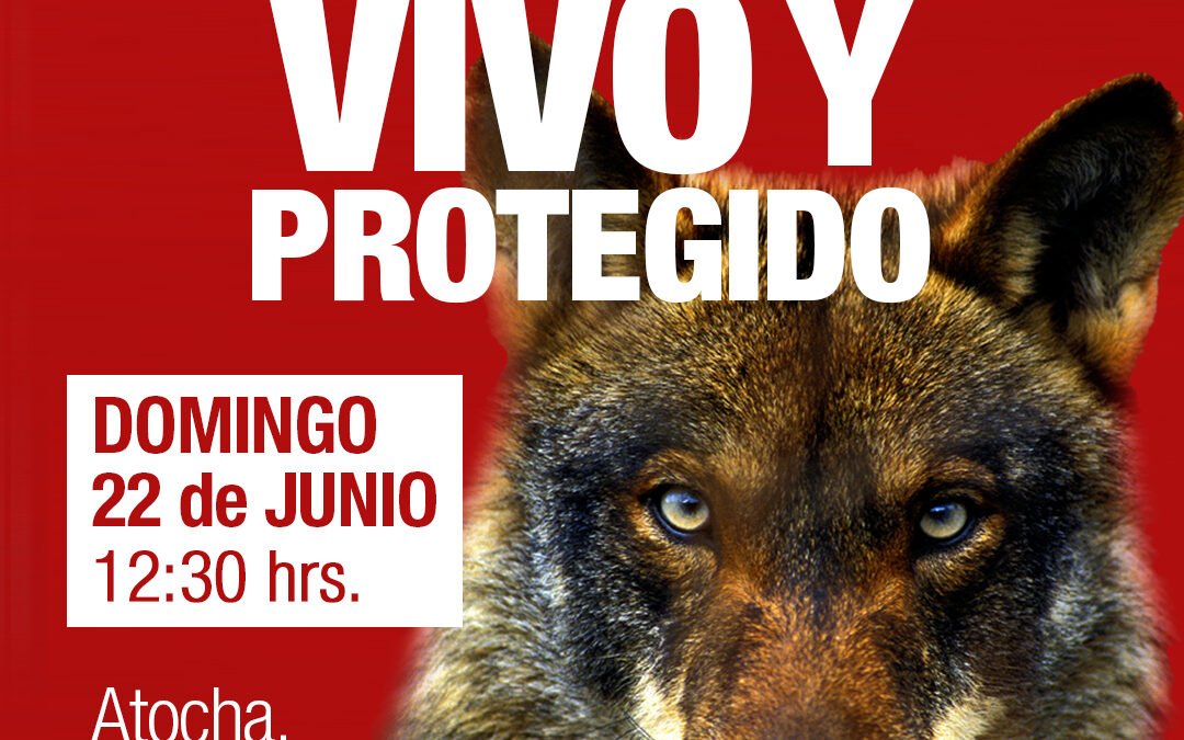 Manifestación para salvar al lobo ibérico