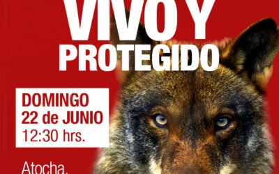 Manifestación para salvar al lobo ibérico
