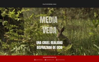 La Media Veda: Una cruel realidad disfrazada de ocio