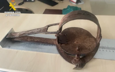 Matan a un perro con un artilugio de caza prohibido en Castellón: estuvo atrapado durante días.