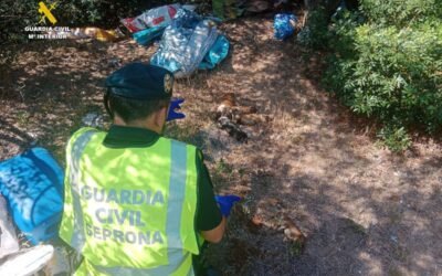 Detenido por la muerte de 10 cachorros de podenco valenciano.