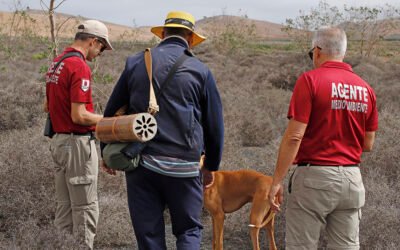 A cazar sin permiso pero con armas.