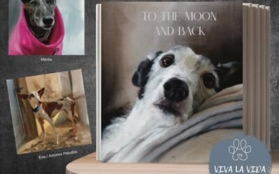 Un libro que toca el alma.