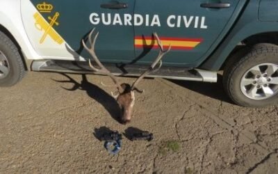 La berrea del ciervo se salda en León con varios cazadores sancionados por conductas ilegales