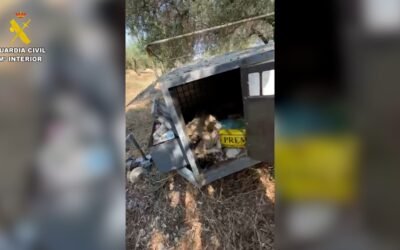 Hallan perros muertos y encerrados en remolques e investigan a un vecino de La Sènia por maltrato.