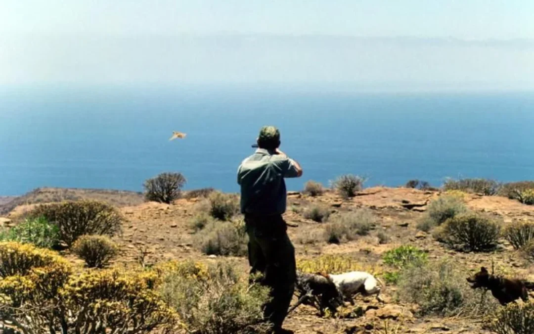 Cinco días más de caza con perro y hurón y tres para cetrería en Gran Canaria.