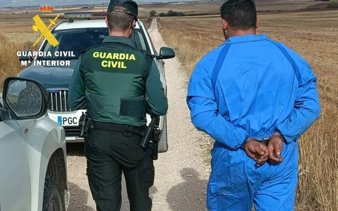 Detenidas seis personas por cazar ilegalmente con galgos en Burgos.