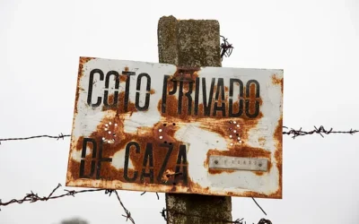 Detienen a un cazador tras matar a otro de un disparo en Cervera (Lleida)