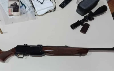 Abatido y decapitado un ciervo macho en un coto de Alpera, el Seprona investiga a un vecino por caza ilegal