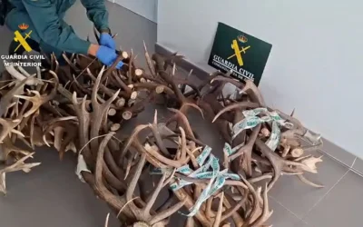 La Guardia Civil investiga a cuatro hombres en La Carolina por caza furtiva y tenencia ilícita de armas