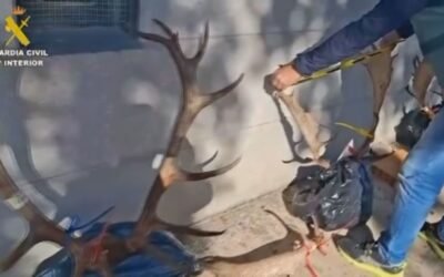 Caza furtiva en el Monte del Pardo: hay un detenido y un investigado.