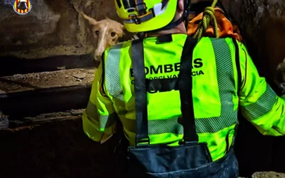 Bomberos rescatan a un perro que cayó a un pozo en Picassent a 18 metros de profundidad.