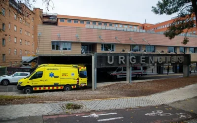 Un cazador del Bajo Cinca recibe un tiro y aseguran que la autora del tiro es una perra de caza.