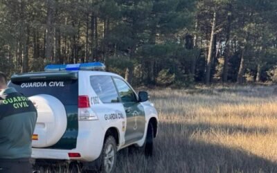 La Guardia Civil detiene a un cazador con su arma cuando la tenía prohibida por un caso de violencia de género.