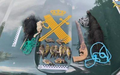 Sorprendido ‘in fraganti’ cazando aves protegidas cerca de Santa Cruz.