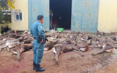 Investigan una batida de caza para ciervos hembras en un coto de Vejer donde abatieron ejemplares machos