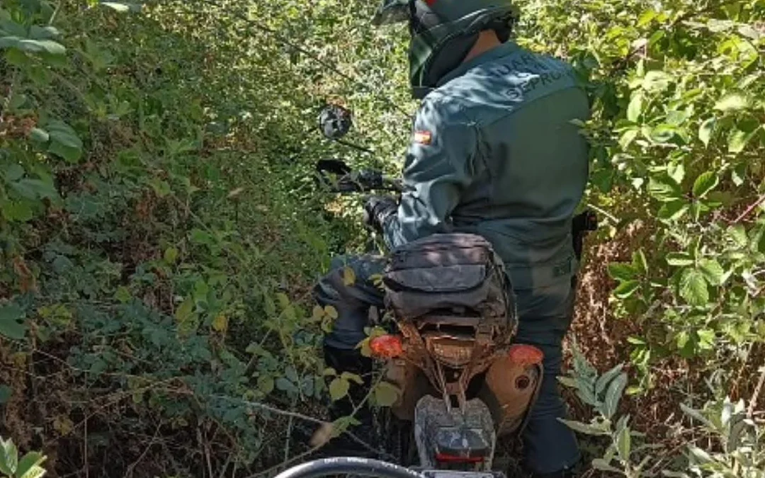 Tres personas investigadas por caza furtiva con galgos en el coto de Macotera.