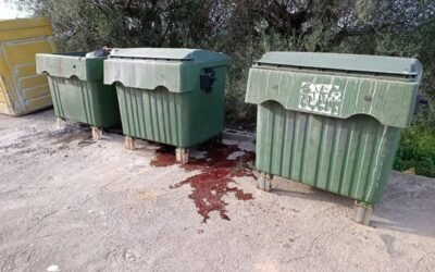 Una masía de Castellón se alarma al descubrir un contenedor rebosante de sangre.