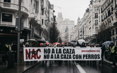 Gracias por la lucha