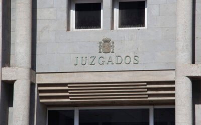 Condenadas dos personas por capturar y matar siete pardelas cenicientas en Fuerteventura