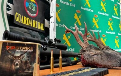 Golpe a la caza furtiva: la Guardia Civil de Soria detiene a tres personas en cotos de varios pueblos
