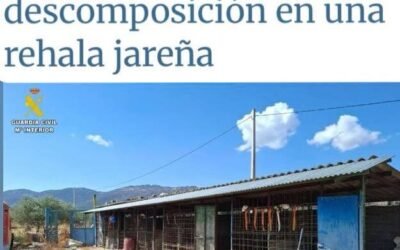 Pillado con 14 perros en descomposición en una rehala en Toledo