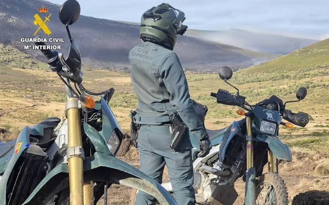Investigados dos individuos por caza furtiva en Molezuelas de la Carballeda, Zamora